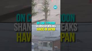 On Cam Typhoon Shanshan Wreaks Havoc In Japan Knocks Out Power In Some Parts [upl. by Nalyk]