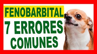 07 Errores Comunes al Usar Fenobarbital Evítalos y Mejora la Salud de tu Mascota [upl. by Snider]