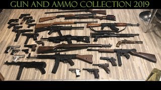 Gun and Ammo Collection 2019 [upl. by Crelin]