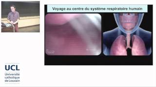 2 Lanatomie respiratoire de la bouche aux alvéoles pulmonaires [upl. by Ezarras]