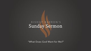 What Does God Want for Me — Bishop Barron’s Sunday Sermon [upl. by Petta160]