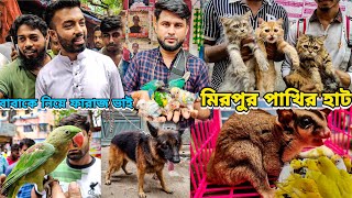 মিরপুর পাখির হাটে ChowdhuryFaraazKarim বাংলাদেশের সবচেয়ে বড় পাখির হাটMirpur 1 Pakhir Haat [upl. by Melborn]