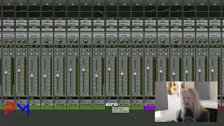 Track Presets In Pro Tools  Tutorial [upl. by Safir]