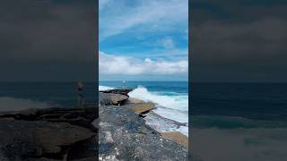 Waves of Freedom at the Clovelly Beach Sydney Music volanicky yellowflowers clovellybeach [upl. by Anitsyrhk]