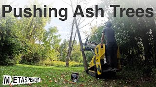 Pushing Ash Trees [upl. by Corrie966]