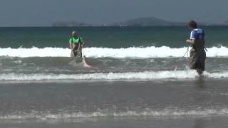 Beach Walk in Pembrokeshire [upl. by Bernice]