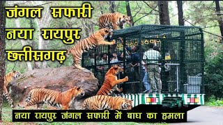 jangle safari zoo naya raipur chattisgarhdgg junglebookzoojangulsafariindiaraipur chattisgarh [upl. by Irina]