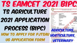 TS Bsc Agriculture 2021 Application processHow to Apply for PJTSAU UG 2021 Application formTelugu [upl. by Aisiat]