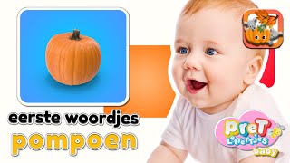 Baby Eerste Woordjes • Pompoen • Baby TV Nederlandse Baby Filmpjes • Eerste Woordjes leren [upl. by Ayr]