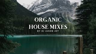 Organic House Mix 22 2023 [upl. by Osterhus]