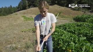 How to Test amp Measure Soil Compaction [upl. by Anema]