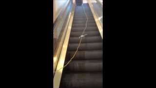 Escalator Cleaning Machine  APOLLO Z700 [upl. by Yhtommit]