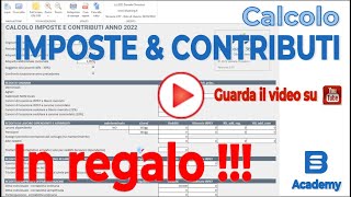 Calcolo imposte e contributi [upl. by Wes]