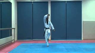 Poomsae 10 KeumGang [upl. by Horatio]