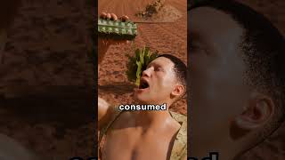 Why You Shouldnt Drink Cactus Water 😱 [upl. by Zedecrem]