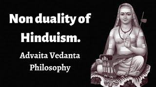 NON DUALITY OF HINDUISM  Advaita vedanta philosophy [upl. by Gnaht]