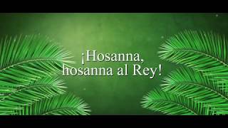 Mantos y palmas Hosanna al Rey Filipe Henriques  Cover [upl. by Ardaed]