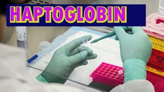 HAPTOGLOBIN [upl. by Sisely842]