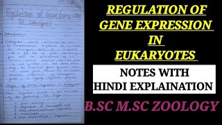 REGULATION OF GENE EXPRESSION IN EUKARYOTES HINDI EXPLAIN regulationingeneexpressionineukayote [upl. by Four379]