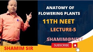 Anatomy of Flowering Plants 🪴 Class11  NEET  Part5 [upl. by On]