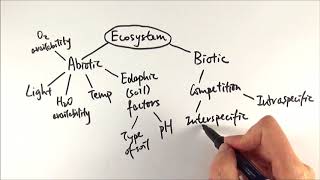 A2 Biology  Factors affecting an ecosystem OCR A Chapter 231 [upl. by Cavan258]