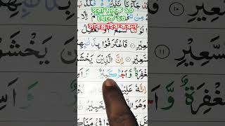 Sura Mulk part 5 Beautiful Quran Tilawat Surah Mulk sale Ahmed taqrim সূরা মূলক [upl. by Suvart]