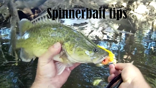 Spinnerbait tips and information How to catch fish with spinnerbaits [upl. by Gun]