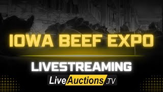 2024 Iowa Beef Expo Breeding Show [upl. by Marmion]