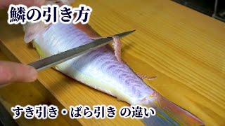 【鱗の引き方】アマダイ2通りの皮で柚庵焼きを作って比較【甘鯛の捌き方】 [upl. by Negroj]