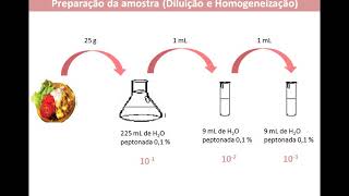 Microbiologia de alimentos Microrganismos Indicadores 1585417125 [upl. by Putnam]