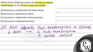 Which of the following causes an increase in sodium reabsorption in the distal convoluted tubule [upl. by Atiuqcir525]