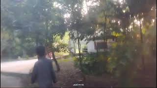 Bareilly company garden 😊😊😊subscribe viralvideos khanqueens [upl. by Amick]