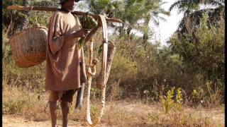 VOYAGER AU CAP SKIRRING Sénégal Casamance [upl. by Etteyafal]