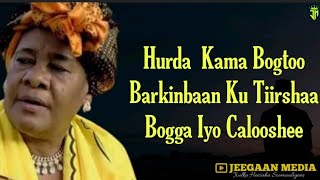 HEES HURDO KAMA BOGTOO  KHADIIJO FOODEY  QARAAMI XUL AH  LYRICS [upl. by Pahl396]