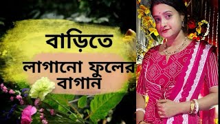 বাড়ির উঠনে বিভিন্ন ধরনের ফুলের বাহার 🌸🌼🌺flowers minivlog youtubevideo [upl. by Airalednac]