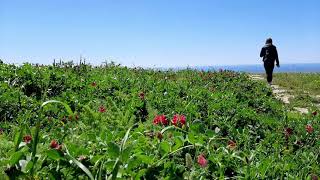 La grotta Agnello sul monte Sorce di Cattolica Eraclea [upl. by Noletta]