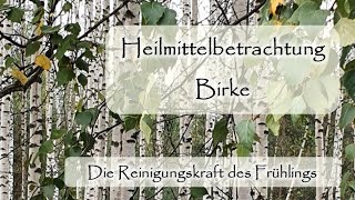 Birke als Heilmittel  Die Reinigungskraft des Frühlings  Dr med Liane PreuMaiwald  Würzburg [upl. by Sixel]