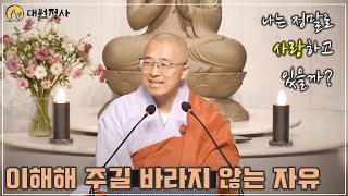 55 사랑을 갈구할 필요 없다 당신이 사랑이기에 이해해주길 바라지 않는 것이 자유다 [upl. by Athal]