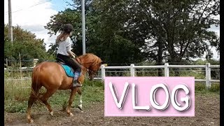 VLOG  2EME SÉANCE EN SIDE PULL amp NETTOYAGE DU TERRAIN [upl. by Tadd]