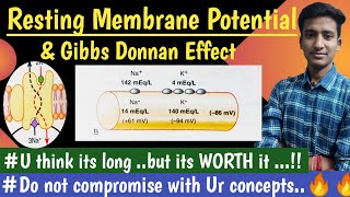 Resting Membrane Potential  MBBS First Year  Nerve Muscle Physiology Lectures hindi Ashish [upl. by Eiliah343]