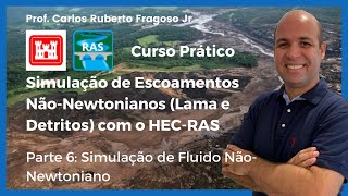 Simulação de Escoamento de Fluidos NãoNewtoniano Parte 6 Simulação de um Fluido NãoNewtoniano [upl. by Elleval]