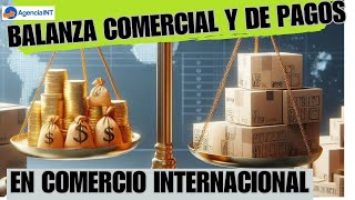 Balanza comercial y balanza de pagos [upl. by Negeam]