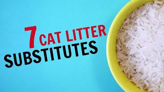 EMERGENCY CAT LITTER  7 Cat Litter Substitutes [upl. by Ydoc5]