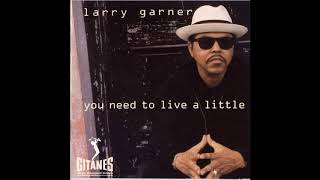 Larry Garner Keep playing the blues [upl. by Neal]