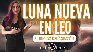 ❤️‍🔥LUNA NUEVA EN LEO ❤️‍🔥 El rugido del corazón ♌️ [upl. by Atteiluj]