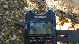 digital recorder comparison 2 Olympus LS11 vs LS14 vs TASCAM DR40  river [upl. by Egidius]