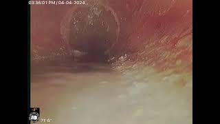 Haxtun Avenue Orange NJ  Sewer inspection video [upl. by Ennylhsa]