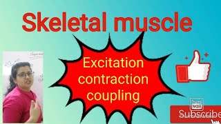 Skeletal muscle structure and excitation contraction coupling [upl. by Arbrab]