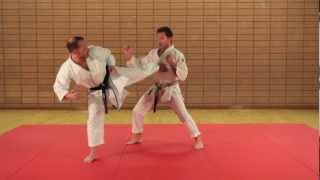 KARATÉ EXPERT  PASSAGE DE GRADES  Kihon Ippon Kumite  Niveau Avancé  1er DAN  Eric Delannoy [upl. by Acila]