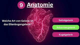 Teste dein AnatomieWissen 🧠  12 schnelle Fragen [upl. by Couture]